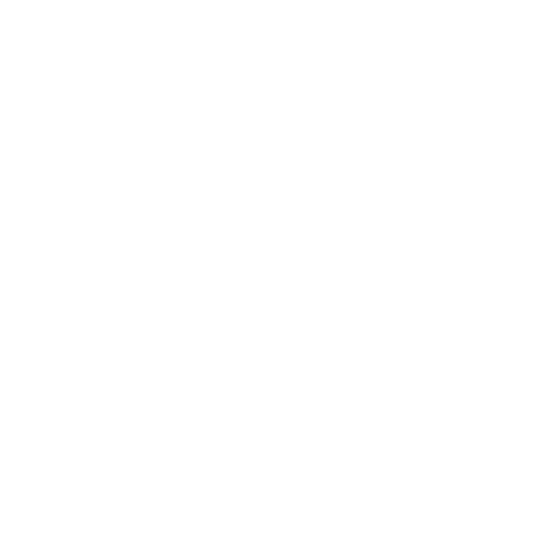 Amethyst Soul Vibes